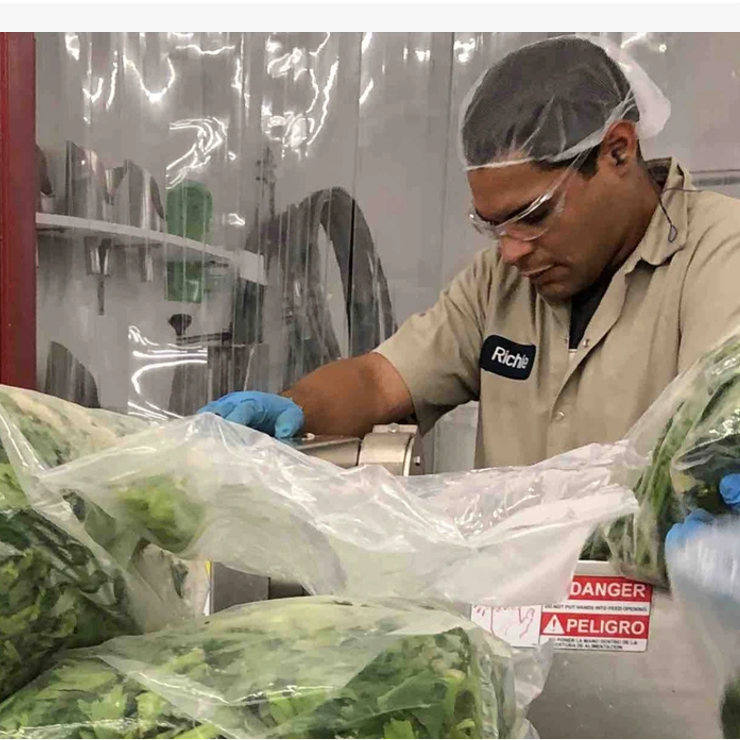 A man sorting through bags of lettuce