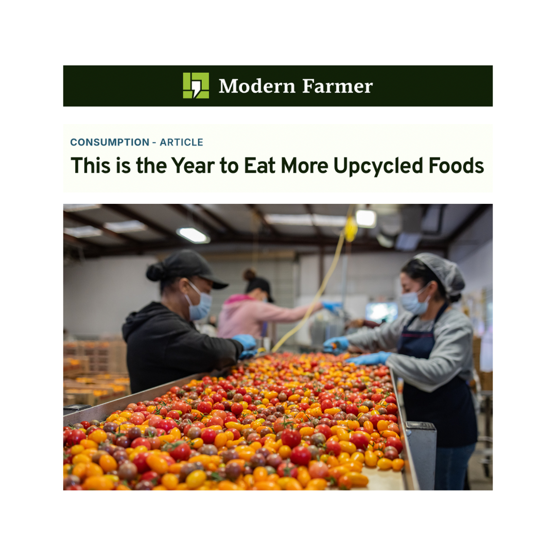 Modern Farmer logo and photo of people sorting through tomatoes at a packing facility