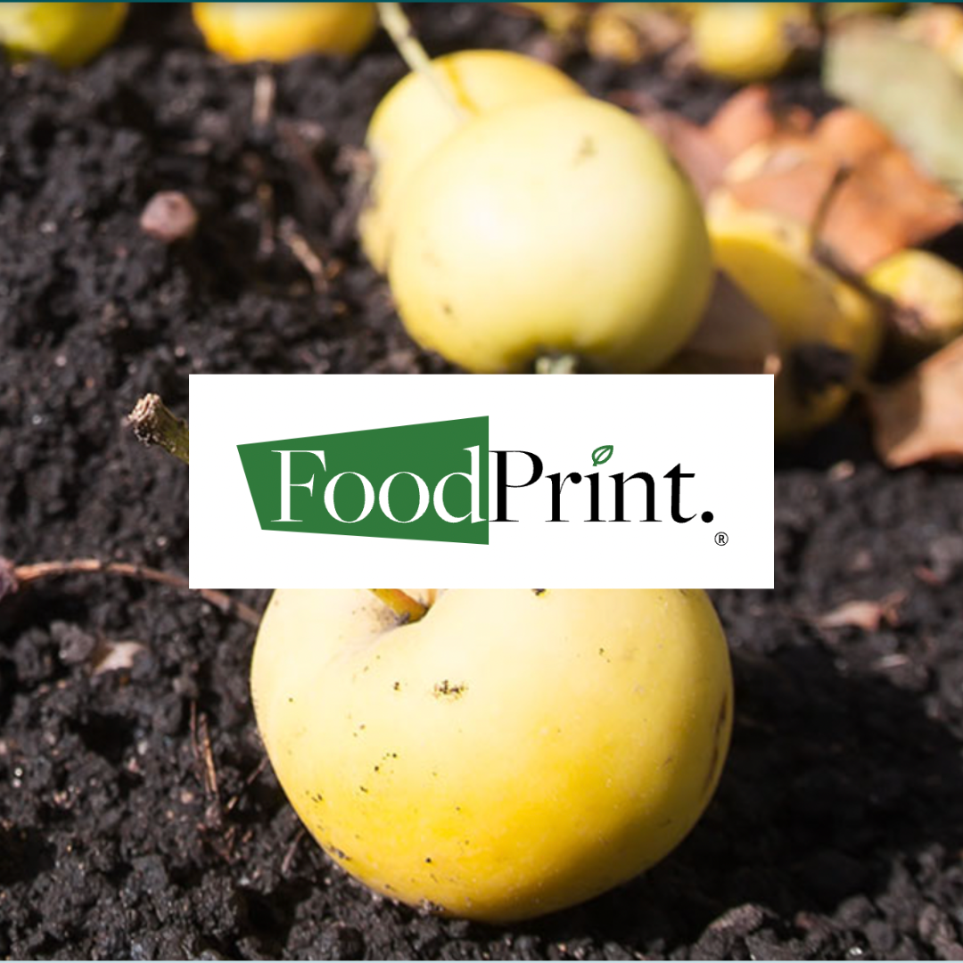 FoodPrint Logo on a photo of apples in soil